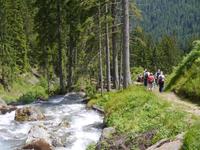 Stilfser Joch National Park 