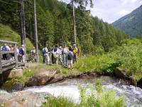 Stilfser Joch National Park 