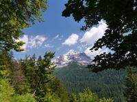 Adamello Brenta Gruppe 