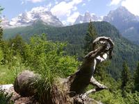 Adamello Brenta Gruppe 