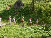 Stilfser Joch National Park 