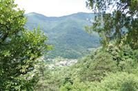 Blick auf die Weinberge Venetiens von Schloss Castelbrando 