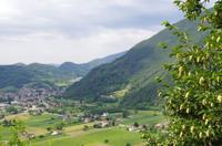 Blick auf die Weinberge Venetiens von Schloss Castelbrando 