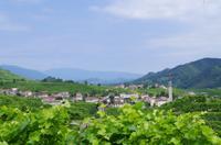 Prosecco-Weinstraße Venetien Panorama