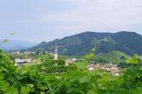 Prosecco-Weinstraße Venetien Panorama