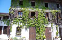 Grappa Destillerie Pagura in Zoppola