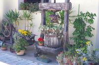 Grappa Destillerie Pagura in Zoppola