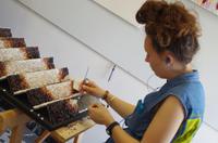 Schülerin in der Mosaikschule in Spilimbergo