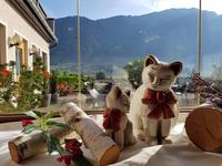 Italien Wandern in Südtirol - Dolomiten (15)