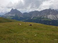 Italien Wandern in Südtirol - Dolomiten (43)
