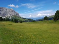 Italien Wandern in Südtirol - Dolomiten (86)