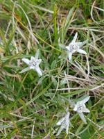 Italien Wandern in Südtirol - Dolomiten (107)