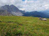 Italien Wandern in Südtirol - Dolomiten (123)