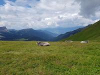 Italien Wandern in Südtirol - Dolomiten (124)