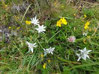 Italien Wandern in Südtirol - Dolomiten (126)
