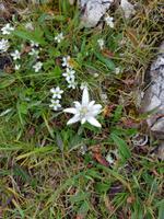 Italien Wandern in Südtirol - Dolomiten (130)