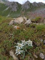 Italien Wandern in Südtirol - Dolomiten (131)