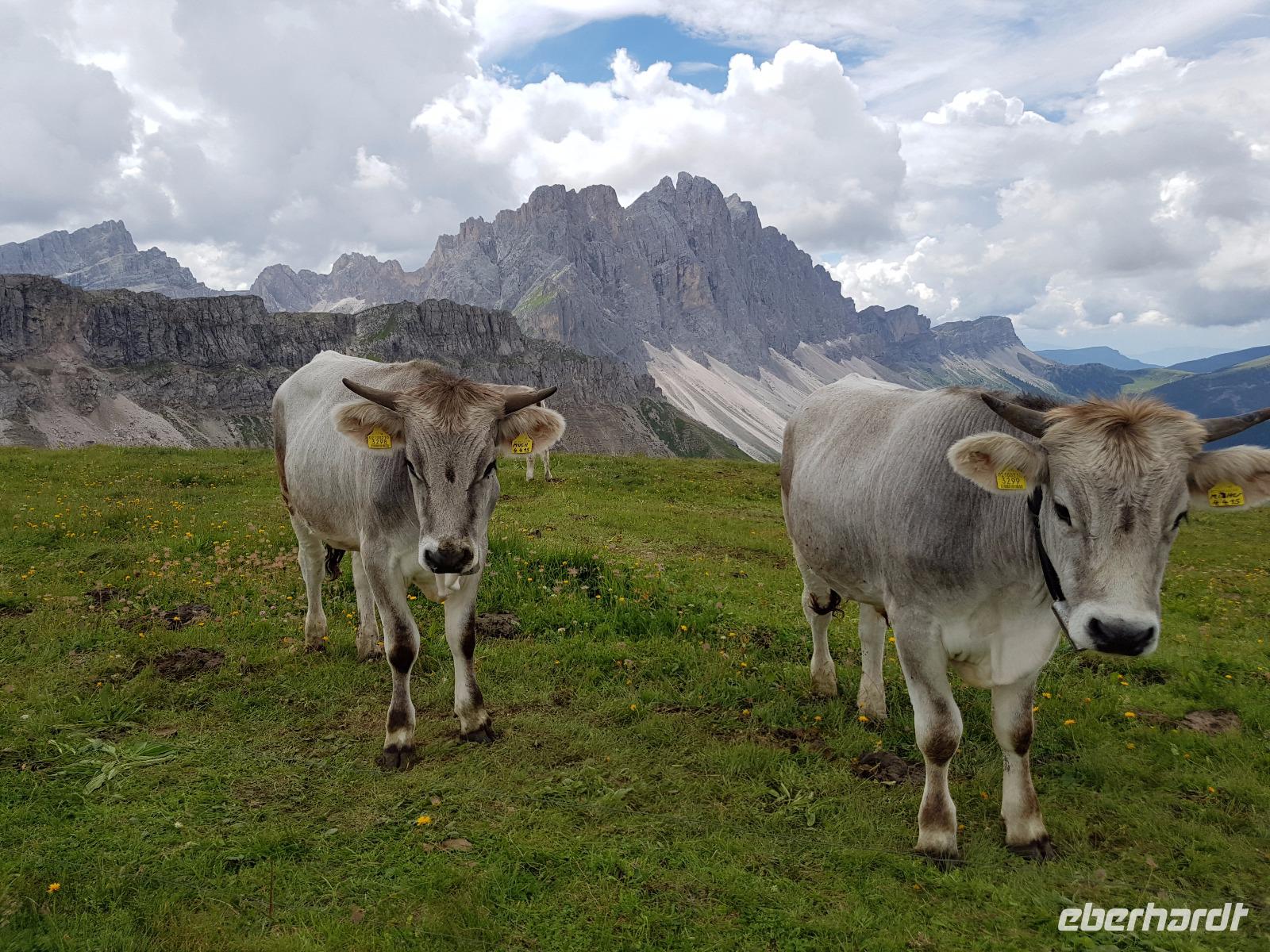 Italien Wandern in Südtirol - Dolomiten (133)