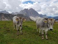 Italien Wandern in Südtirol - Dolomiten (133)