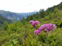 Italien Wandern in Südtirol - Dolomiten (170)