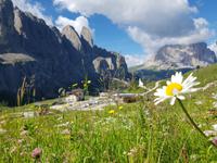 Italien Wandern in Südtirol - Dolomiten (219)