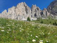 Italien Wandern in Südtirol - Dolomiten (224)