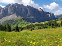 Italien Wandern in Südtirol - Dolomiten (230)