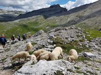 Italien Wandern in Südtirol - Dolomiten (259)