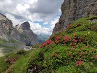 Italien Wandern in Südtirol - Dolomiten (280)