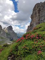 Italien Wandern in Südtirol - Dolomiten (281)