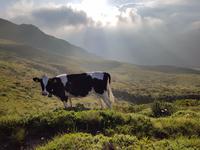 Italien Wandern in Südtirol - Dolomiten (320)