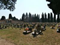 Venedig San Michele-Friedhofsinsel