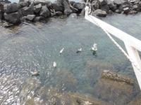 Italien, Vulkane, Amalfi