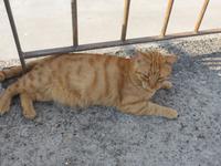 Italien, Vulkane, Vulcano