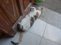 Italien, Vulkane, Salina