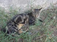 Italien, Vulkane, Lipari
