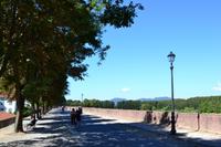 Lucca - Auf der Stadtmauer