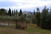 Blick auf die Türme von San Gimignano
