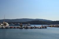 Elba - Hafen von Porto Azzurro