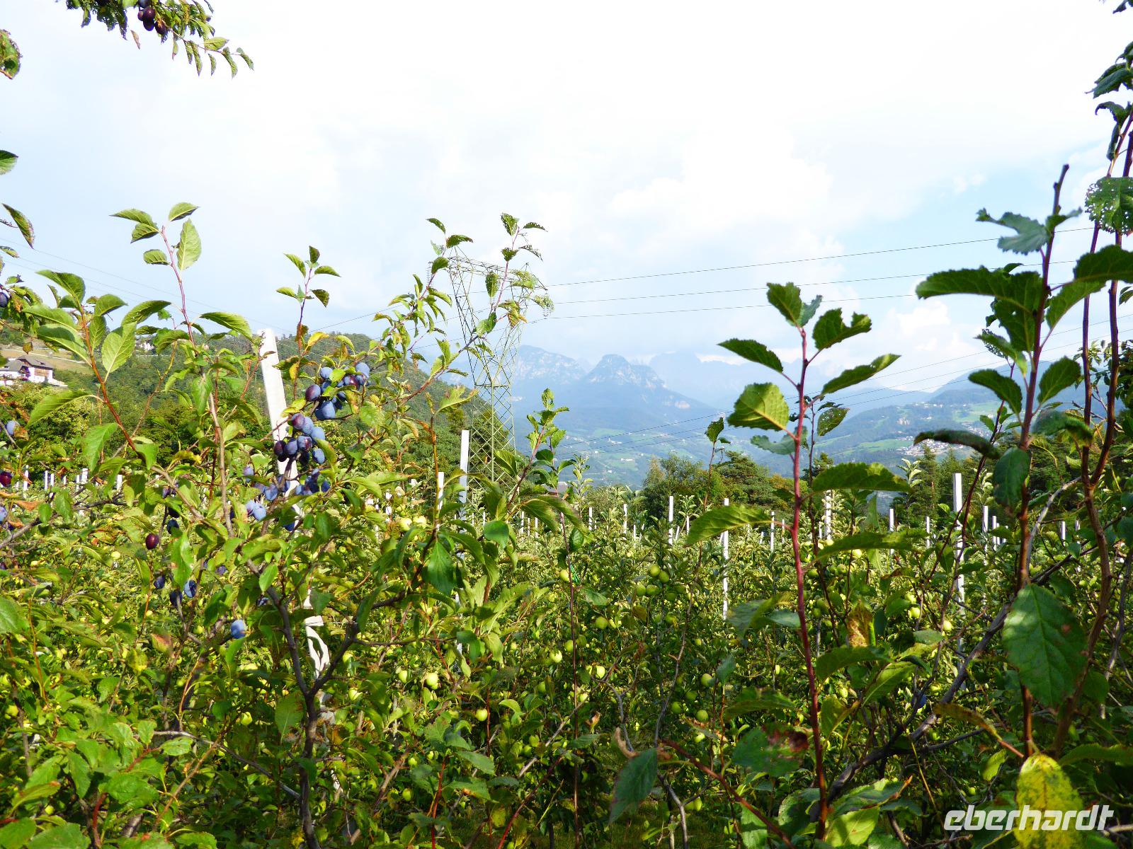 12.09.2016 Abfahrt Klobenstein
