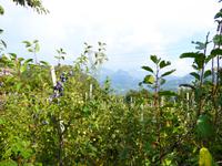 12.09.2016 Abfahrt Klobenstein