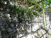 Wanderung durch das Mühlental von Amalfi