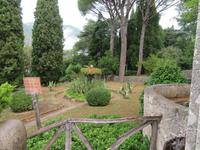 Ravello - Villa Cimbrone