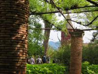 Ravello - Villa Cimbrone