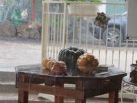 Weingut Tenuta Le Lune del Vesuvio