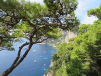 Ausflug nach Capri