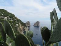 Ausflug nach Capri - Augustusgärten