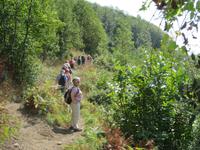 Wanderung von Agerola nach Amalfi