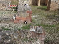 Italien, Sardinien, Alghero