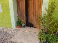 Italien, Sardinien, Bosa